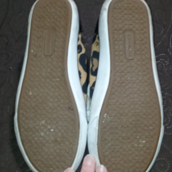 - Coach Sneakers - Picture 5 of 5